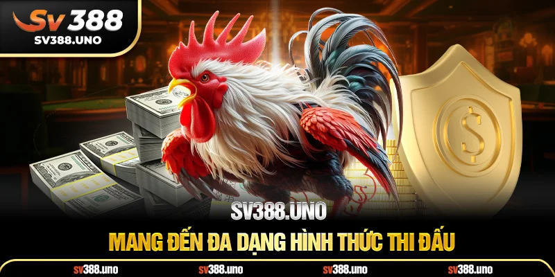 SV388.uno mang đến đa dạng hình thức thi đấu SV388.uno mang đến đa dạng hình thức thi đấu